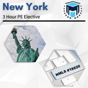 3 Hour New York PE Elective